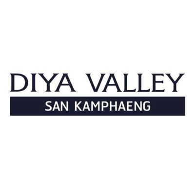 637759131134601947-DYV_SKP_logo.jpg